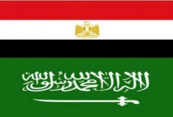 بيان من الجالية المصرية بالسعودية بشأن الإعلان الدستوري الصادر من السيد رئيس الجمهورية