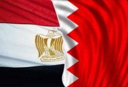 جمعية المصريين بالبحرين تعلن تأييدها الكامل للإعلان الدستوري