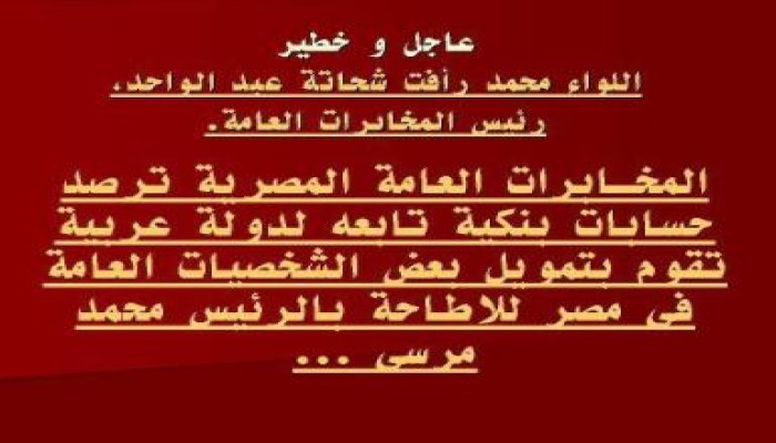 حسابات بنكية باسم شخصية مصرية للعمل علي إسقاط الرئيس
