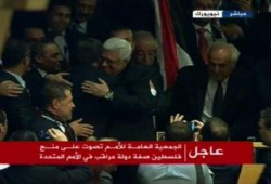 فلسطين دولة مراقب بالأمم المتحدة نصر سياسى جديد