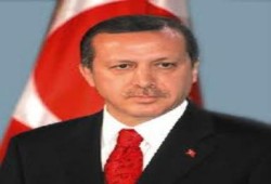 قالوا عن الدستور الجديد
