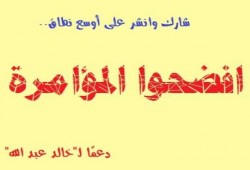 الخطة الكاملة  لسقوط الشرعية ومنع الإسلاميين من الوصول للحكم