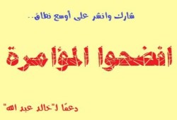 الخطة الكاملة  لسقوط الشرعية ومنع الإسلاميين من الوصول للحكم