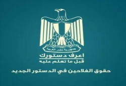 تعرف على حقوق الفلاح في الدستور المصري الجديد (متلفز)