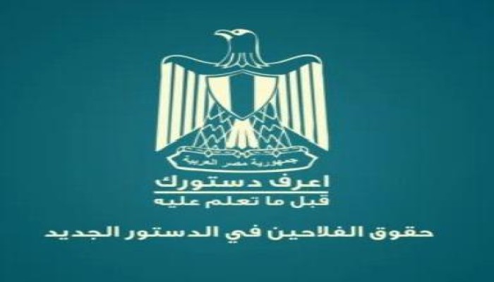 تعرف على حقوق الفلاح في الدستور المصري الجديد (متلفز)
