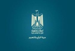 حرية الرأي والتعبير في الدستور المصري الجديد (متلفز)