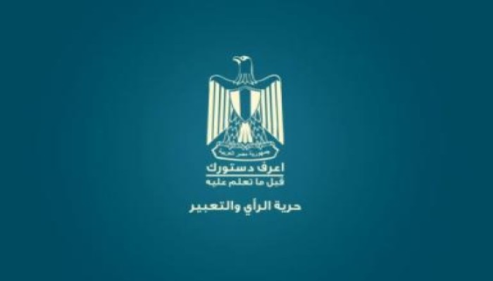 حرية الرأي والتعبير في الدستور المصري الجديد (متلفز)