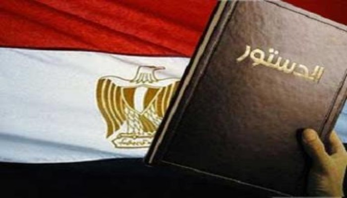 أستاذ القانون الدستورى بجامعة لوزان: الدستور المصرى موناليزا توحى بالجمال من كل ناحية