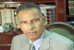مصدر قضائي: البلشي لم يعتذر عن الاشراف على المرحلة الثانية للاستفتاء