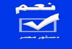 25 مليوناً و495 ألفاً و237مواطن يدلون بأصواتهم في المرحلة الثانية للاستفتاء علي الدستور