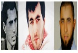 ذكرى من سقطوا فداء لبلادهم في مصر والوطن العربي خلال شهر يناير (ملف خاص)