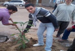 صورة وتعليق