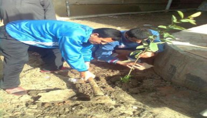 ويستمر البناء (ملف مصور)