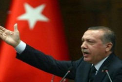 أردوغان يهدد باللجوء إلى الشعب لإقرار الدستور الجديد في تركيا
