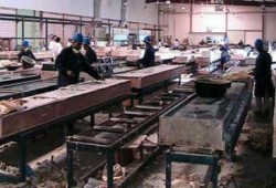 عودة العمل بمصانع المنطقة الحرة للاستثمار ببورسعيد