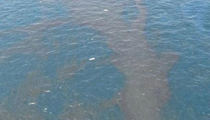 نجاح مناورة إزالة بقعة تلوث بترولي بخليج السويس