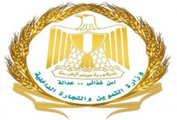 موسم القمح الجديد هل يصبح عيداً للمصريين