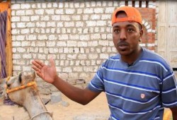 صاحب موقعة طرد لميس من أسوان : "هو أي حد يعارض لميس يبقى من الإخوان"