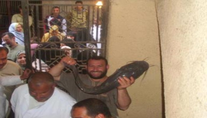 إقبال جماهيرى كبير على شوادر أسماك الحرية والعدالة بالمنوفية