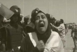 رسالة إلى القضاء الشامخ: "وقت الحساب اقترب" (متلفز)