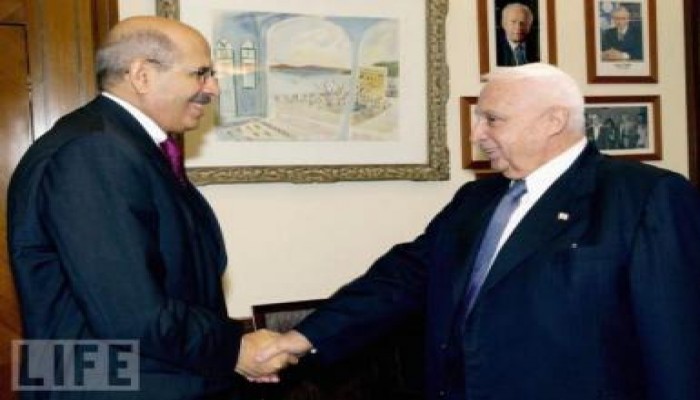 "البرادعي" عميل زرعته أمريكا في مصر