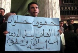 صورة وتعليق