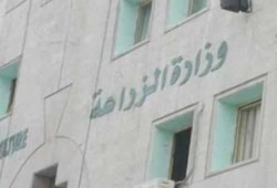 بزيادة 25% ارتفاع صادرات مصر من الموالح والبطاطس والفراولة مسجلة 1.3 مليون طن العام الجاري