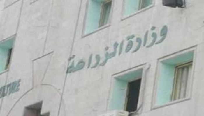 بزيادة 25% ارتفاع صادرات مصر من الموالح والبطاطس والفراولة مسجلة 1.3 مليون طن العام الجاري