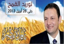 إنتاج القمح المصري لعام  2013 يزيد 13 ضعف عن إنتاج العام الماضي .. والشرقية في المقدمة