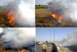النيران تلتهم 7 أفدنة من القمح في طريق القاهرة الأسكندرية الزراعي