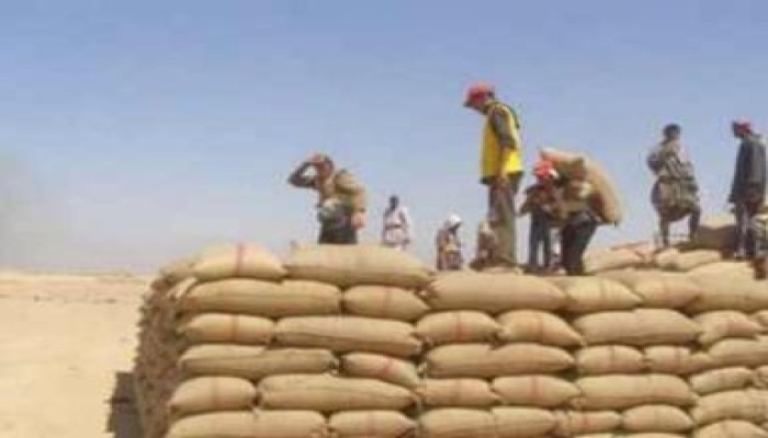 التموين: ارتفاع توريدات القمح المحلى إلى 284 ألف طن حتى الان