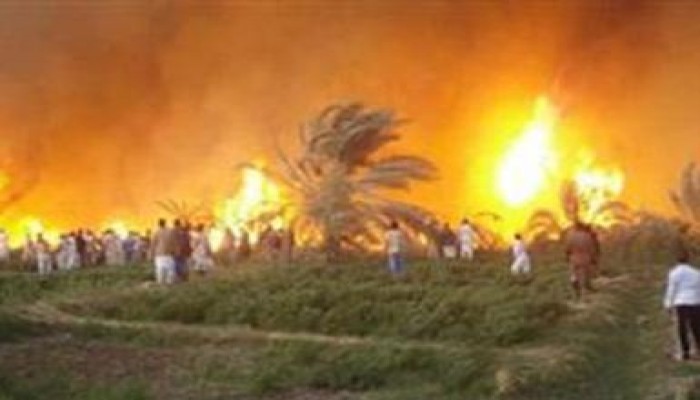 إندلاع حريق بـ 11 فدان قمح بالمنيا