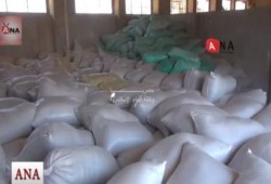 افتتاح شونة قمح جديدة ببرج العرب بعد زيادة انتاج المزارعين (متلفز)