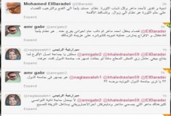 نشطاء التواصل الاجتماعي يردون علي البرادعي " صح النوم يا ......  "