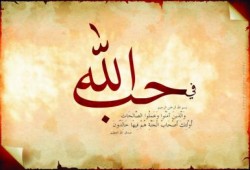 قرأت لك  علي الفيس بوك
