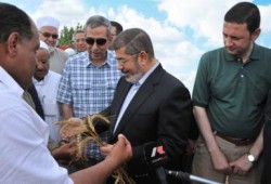 الرئيس مرسي ووزيرا التموين والزراعة يشهدون حصاد القمح ببرج العرب ( صور)