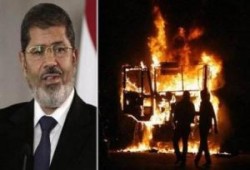 مصر بين حصادين