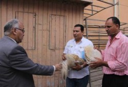 إحالة "عضو جبهة الانقاذ" مدير المخبز الاستراتيجي بدمنهور للتحقيق