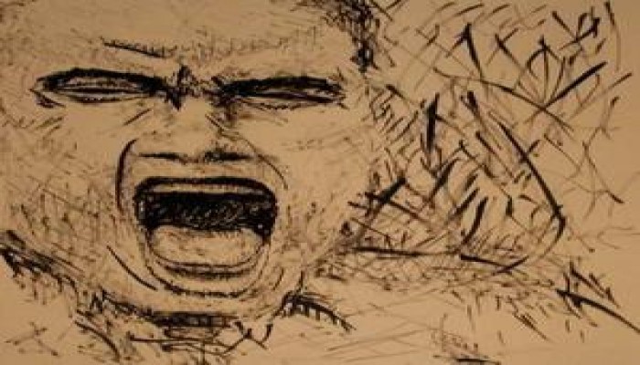 حدة الإخوان وعصبيتهم مع معارضيهم !