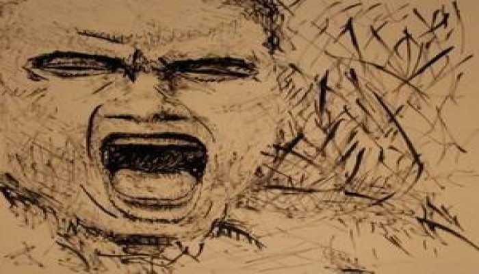 حدة الإخوان وعصبيتهم مع معارضيهم !