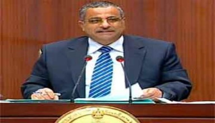 فهمى: عملية تحرير الجنود نموذج للتكامل بين مؤسسات الدولة