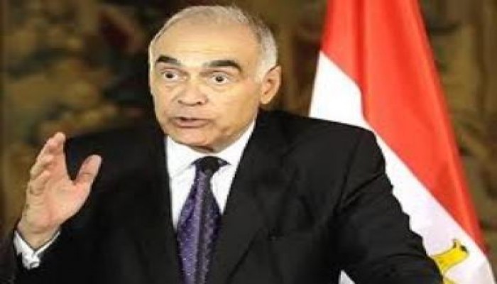 مصر تشارك في اجتماع السلم والأمن الإفريقي بالجزائر نهاية الشهر الجاري