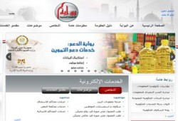 500 ألف مواطن سجلوا بياناتهم على رابط الدعم ببوابة الحكومة