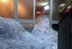 براءة جميع المتهمين في قضية "فرم مستندات أمن الدولة"