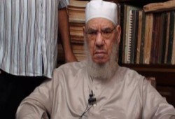 "المحلاوي" للمعارضه: التفوا حول الرئيس.. وأتخذوا من تظاهرات رابعة العدوية نموذجاً