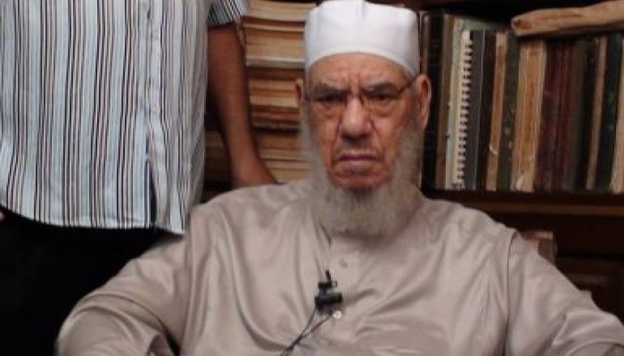 "المحلاوي" للمعارضه: التفوا حول الرئيس.. وأتخذوا من تظاهرات رابعة العدوية نموذجاً