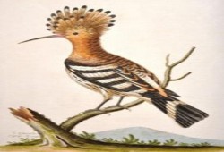 مجلس الامن القومى أعد قائمة بالضباط الذين يروجون الاكاذيب وسوف يقدمهم لمحاكمات عسكرية