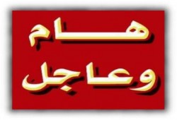 الكاتب الإسلامي حازم سعيد من ميدان رابعة يحسم مسألة الحشود