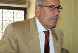 المنظمة العربية لحقوق الإنسان تطالب بسحب نوبل من البرادعي