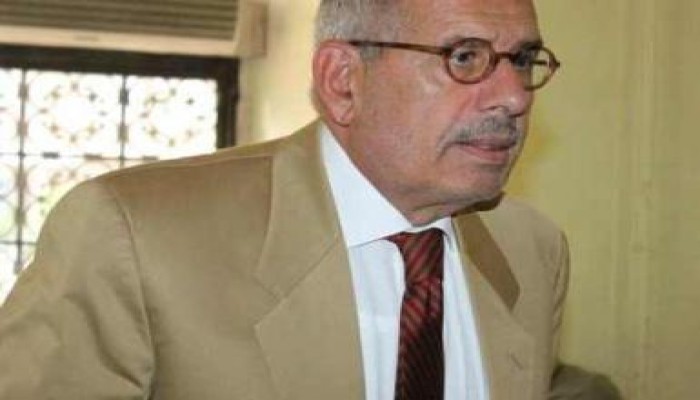 المنظمة العربية لحقوق الإنسان تطالب بسحب نوبل من البرادعي